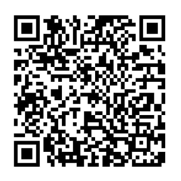 wa villa qrcode